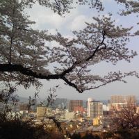 hana