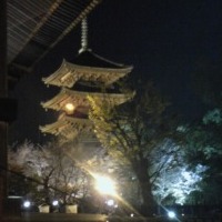 touzi_2